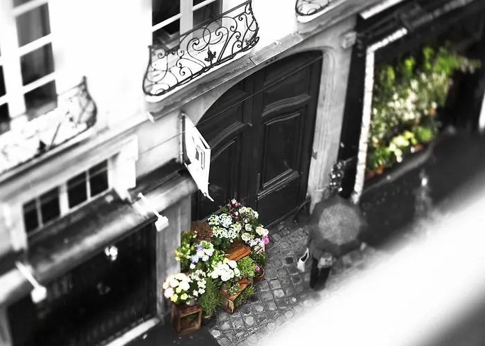 Da Vinci&SpaHotel Parigi